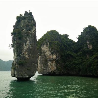 萌宠大作战一号玩家版本下载